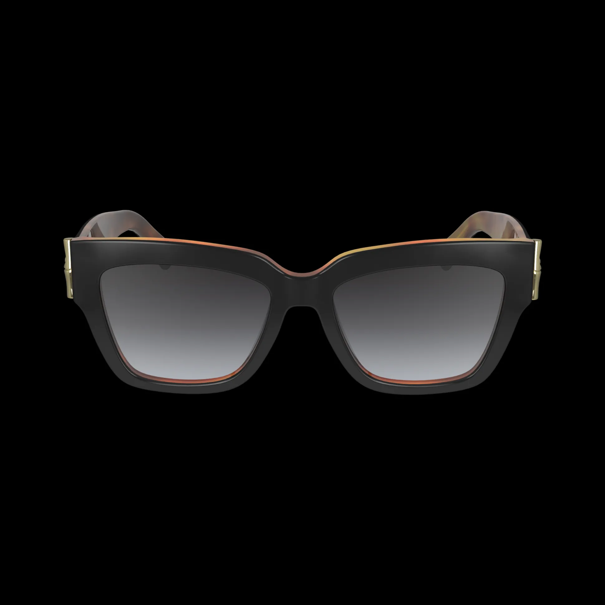 Shop Longchamp Occhiali da sole TartarugaNero