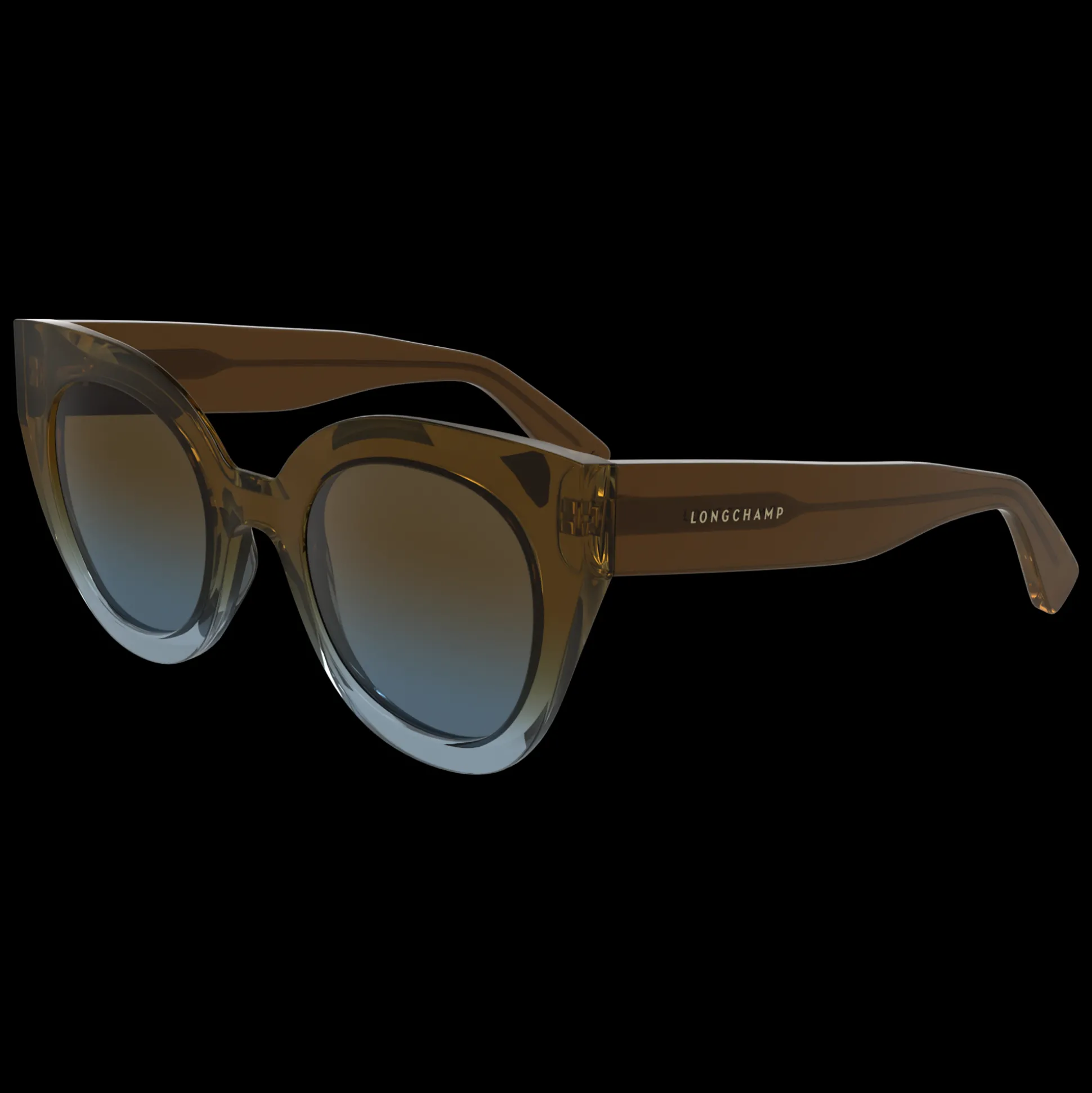 Best Longchamp Occhiali da sole Marrone/BluAzzuro