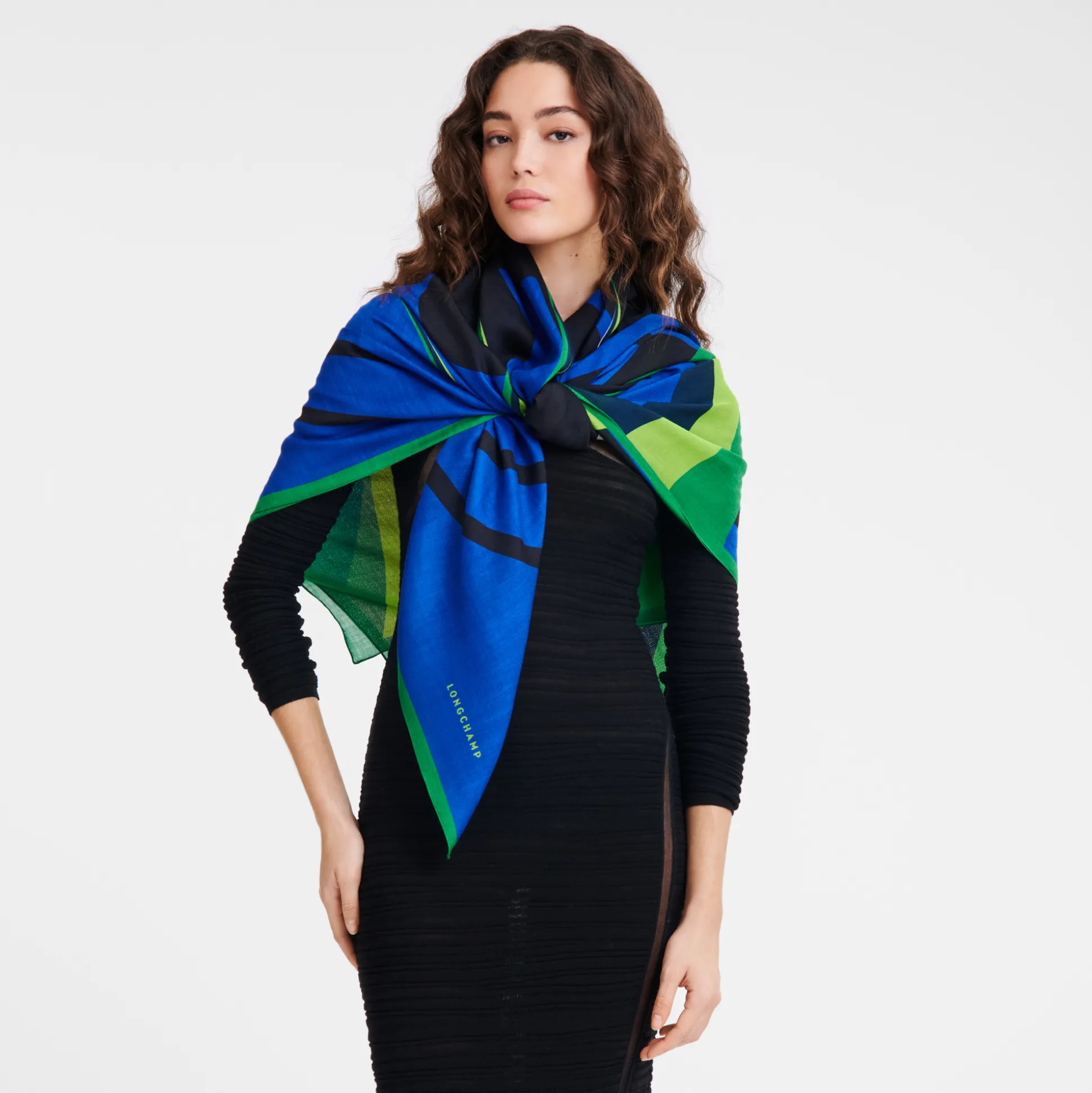 Store Longchamp Scialle Fantino Misto lana - Verde