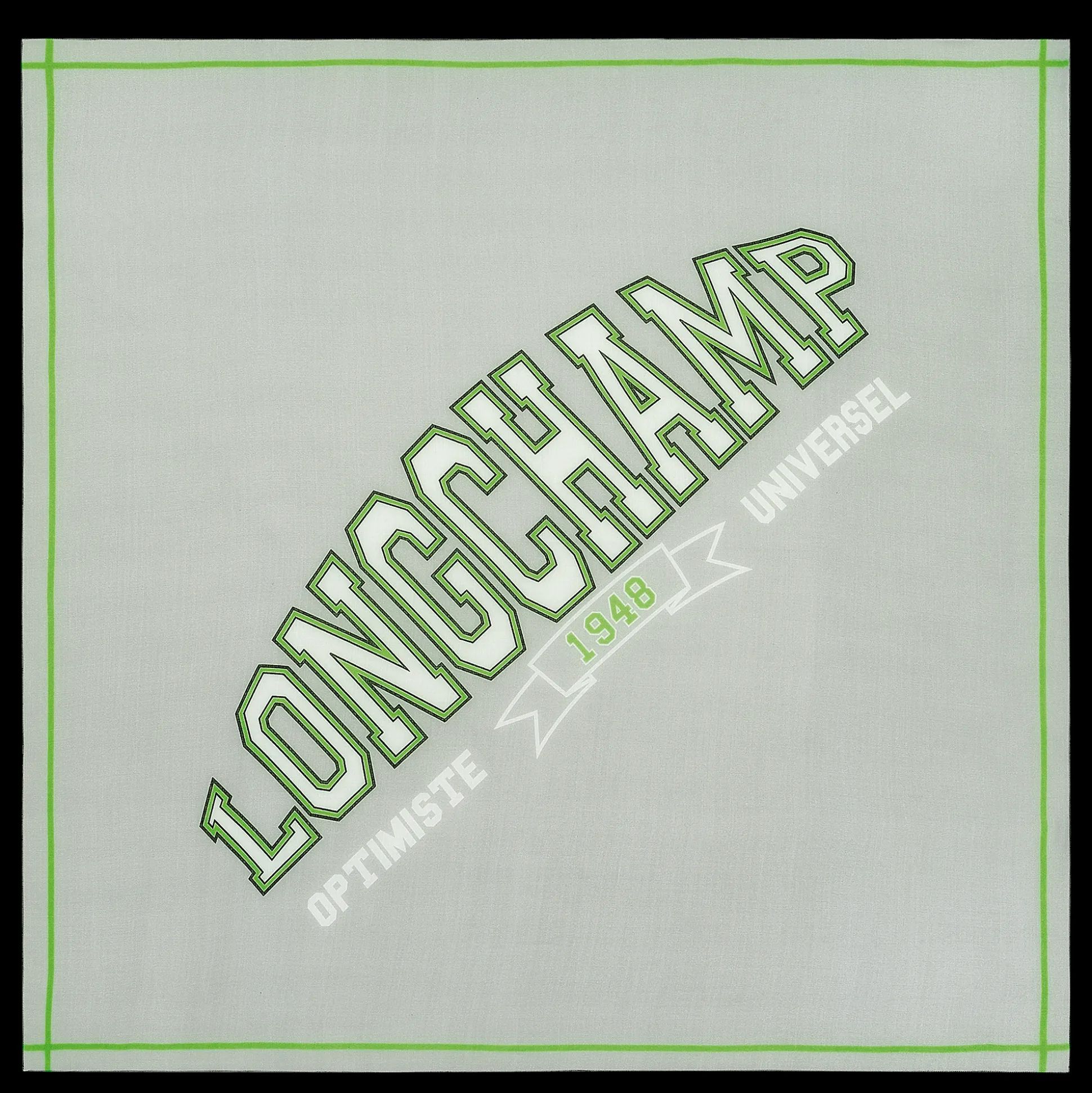 Sale Longchamp Sciarpa Grigio
