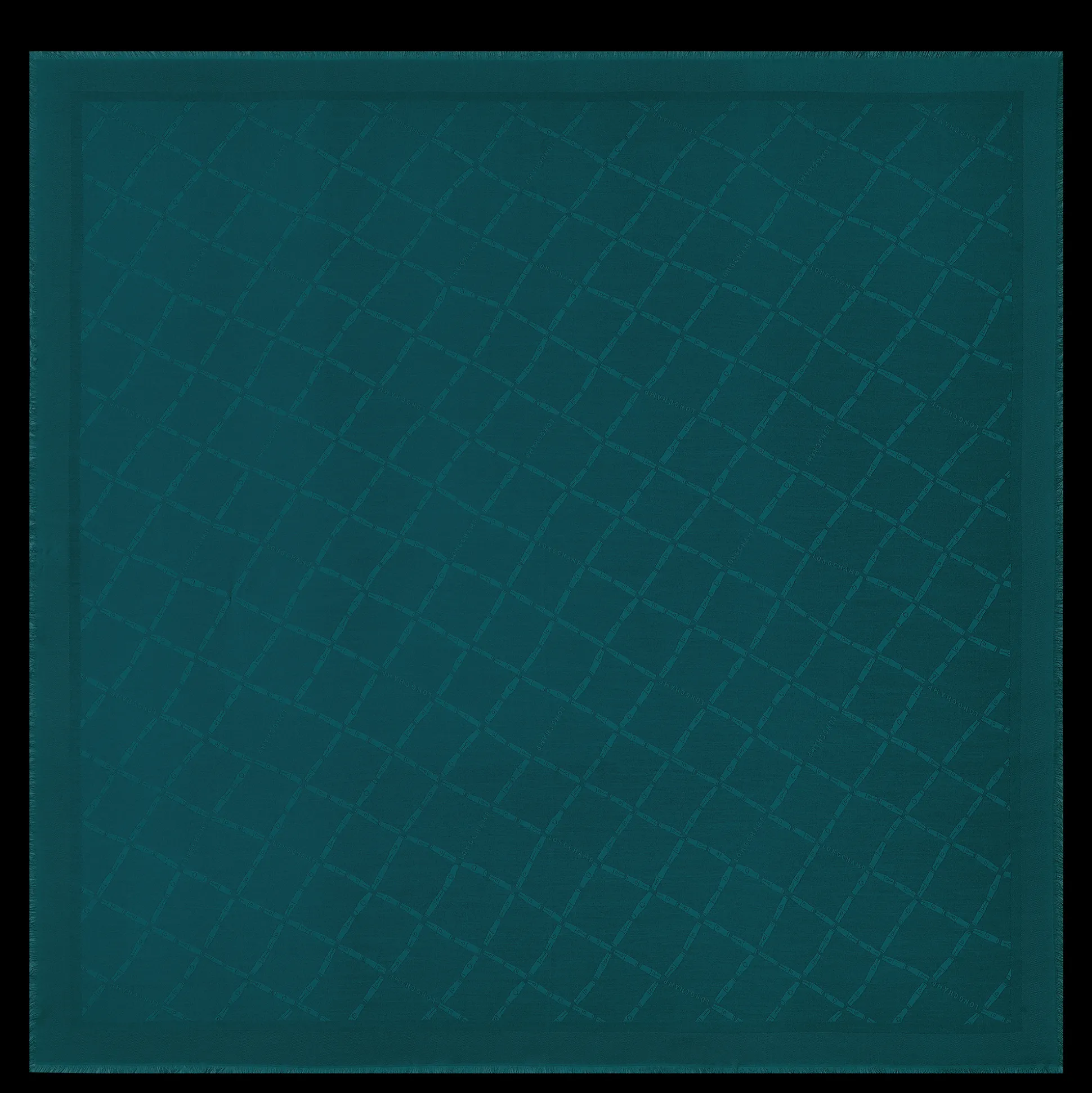 Hot Longchamp Stole Inchiostro