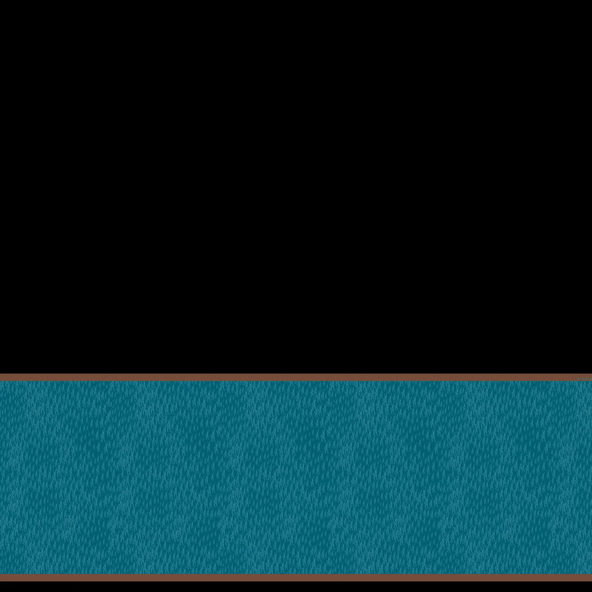 Best Sale Longchamp Stole Pavone