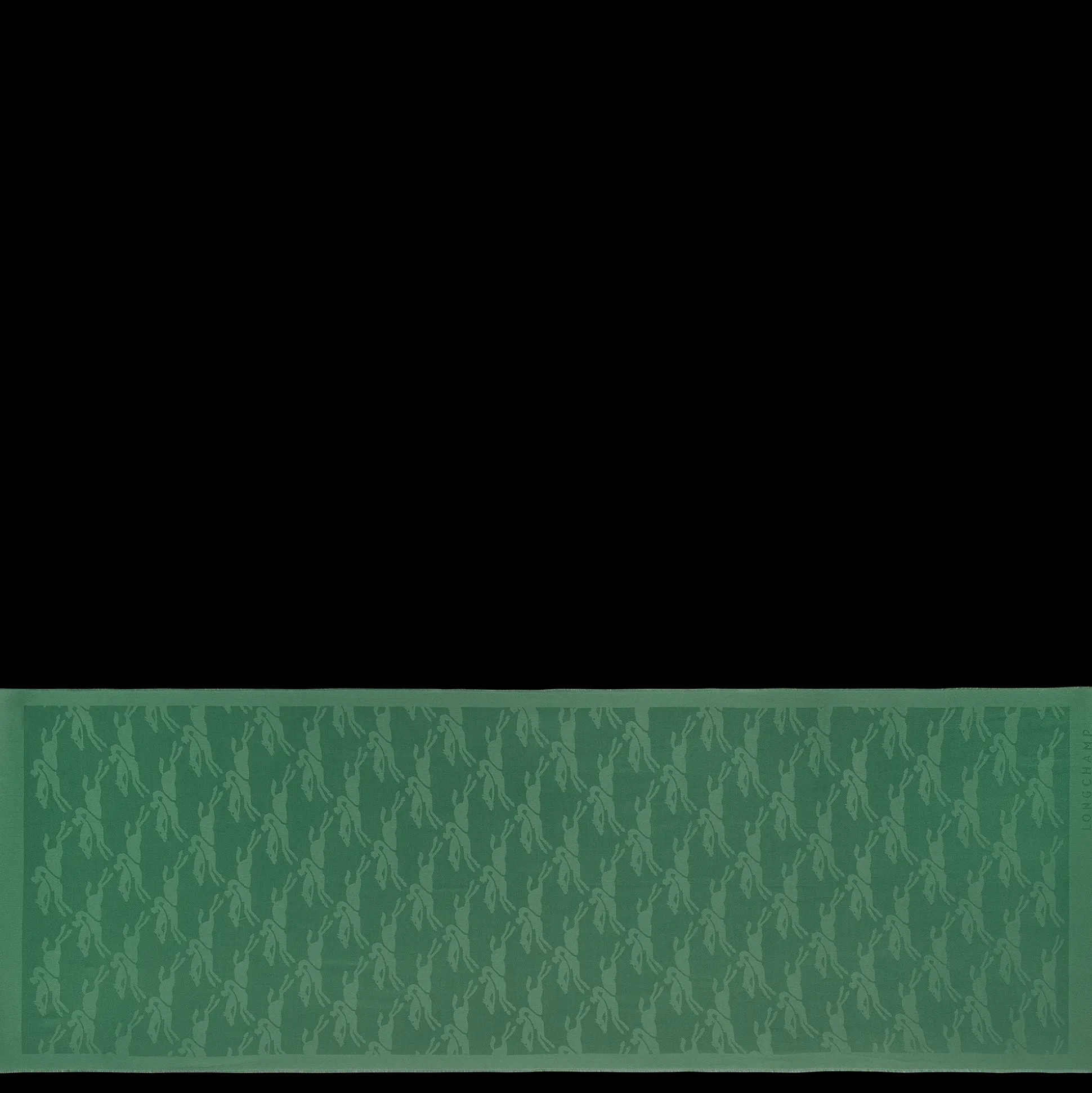 Outlet Longchamp Stole Salvia