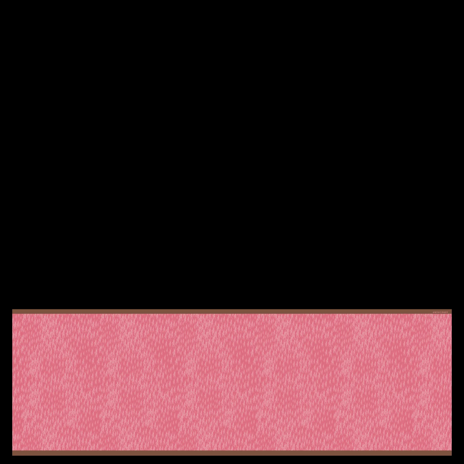 New Longchamp Stole Marshmallow