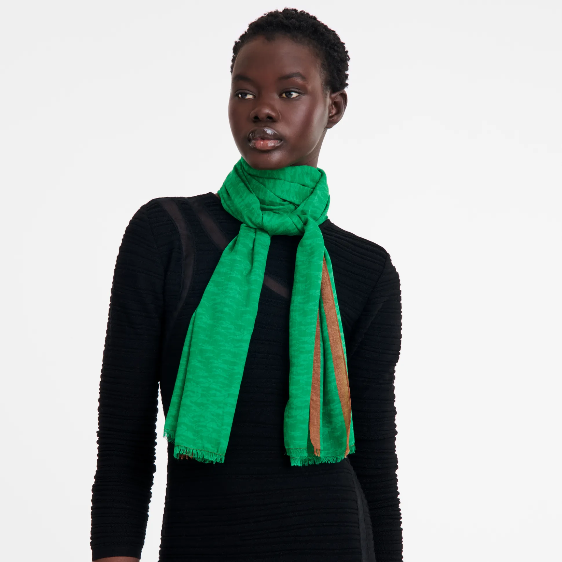 Hot Longchamp Stole Verde